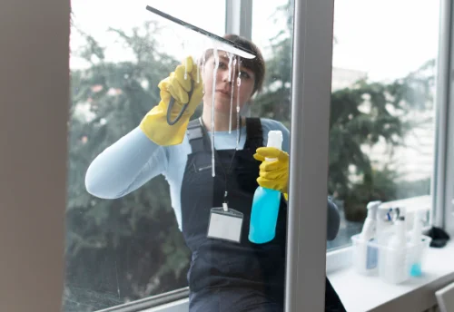 Nettoyage de vitres intérieures et extérieures à Fenioux